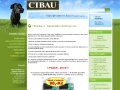 cibaushop